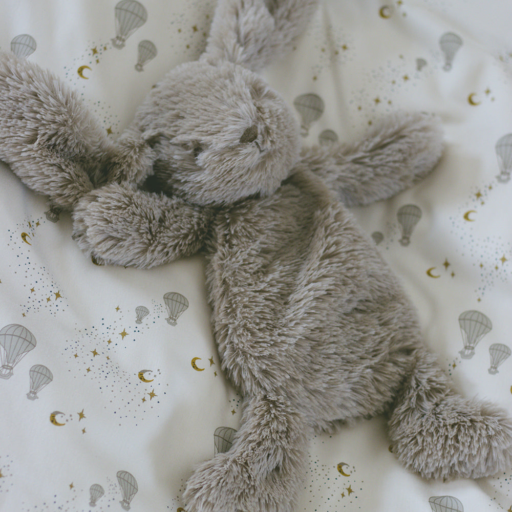 Houston schwerer Teddy klein - Hase
