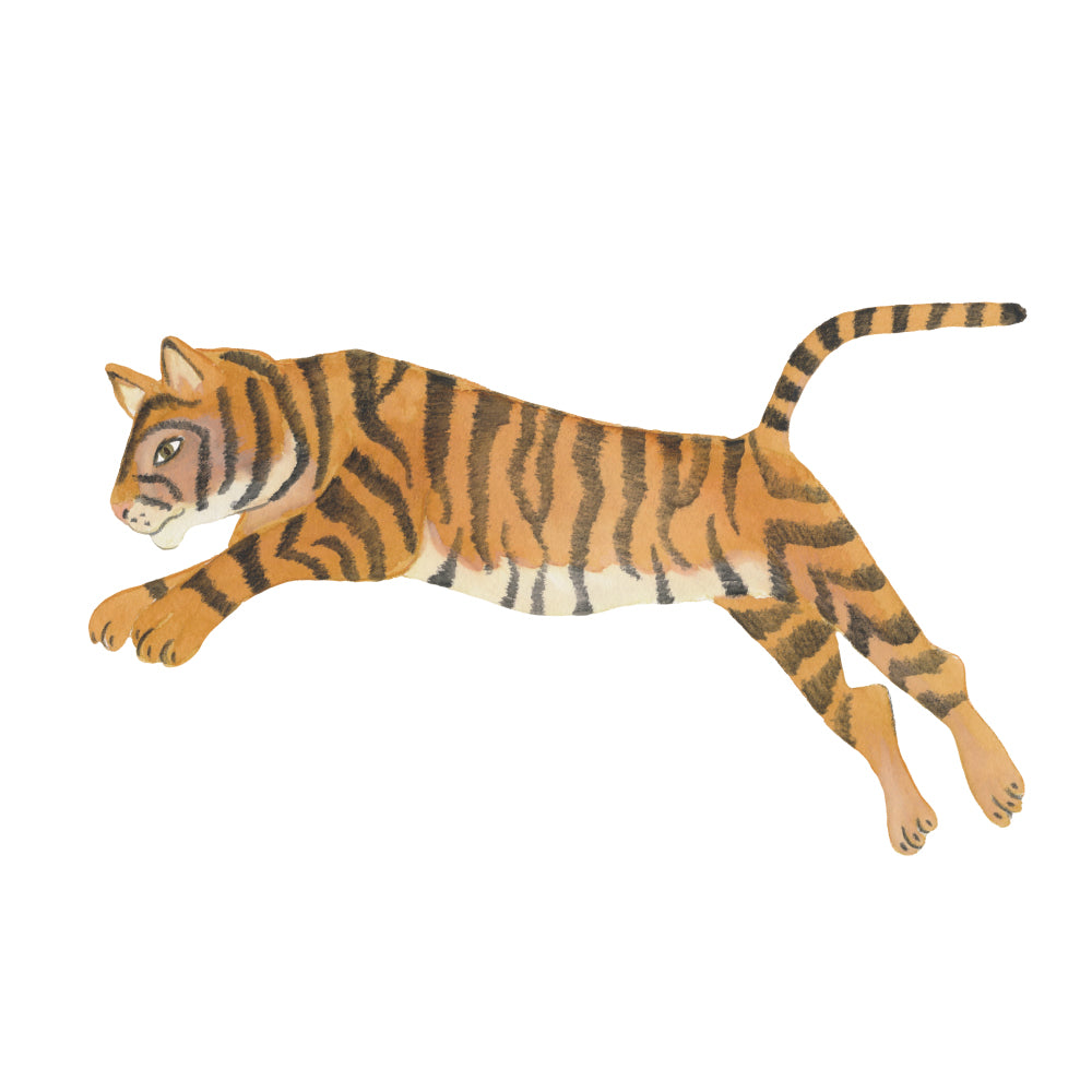 Wandsticker Tiger