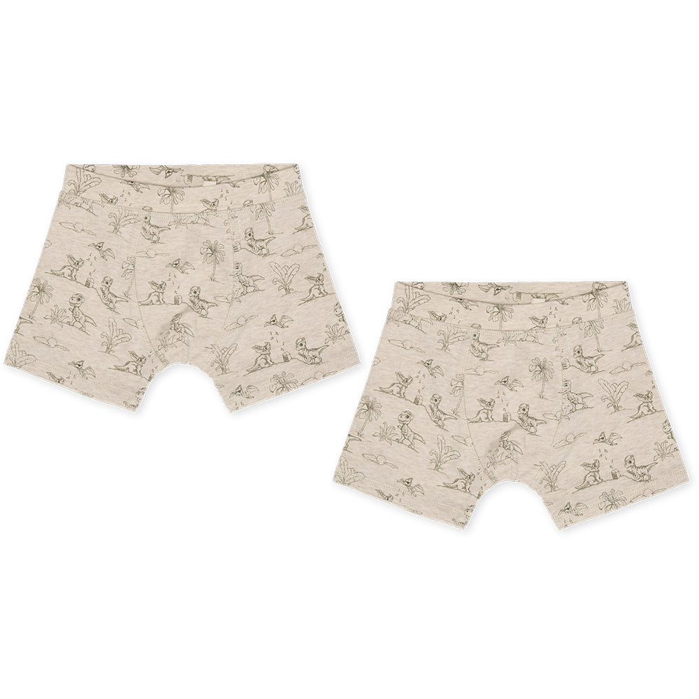 Boxershorts 2-er Pack Dino