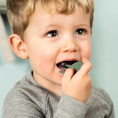 Kleine Snackbox mit Food picks Tiny trails Grün