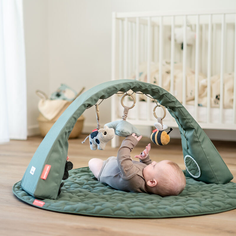 Activity Gym Tiny Farm Grün