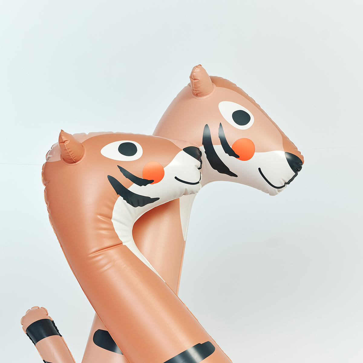 Kids Inflatable Noodle Tino the Tiger Clay Set of 2