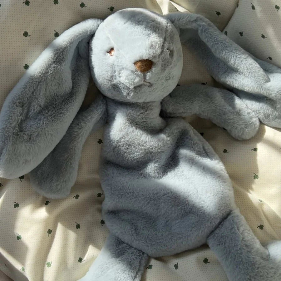 Houston schwerer Teddy klein - blau