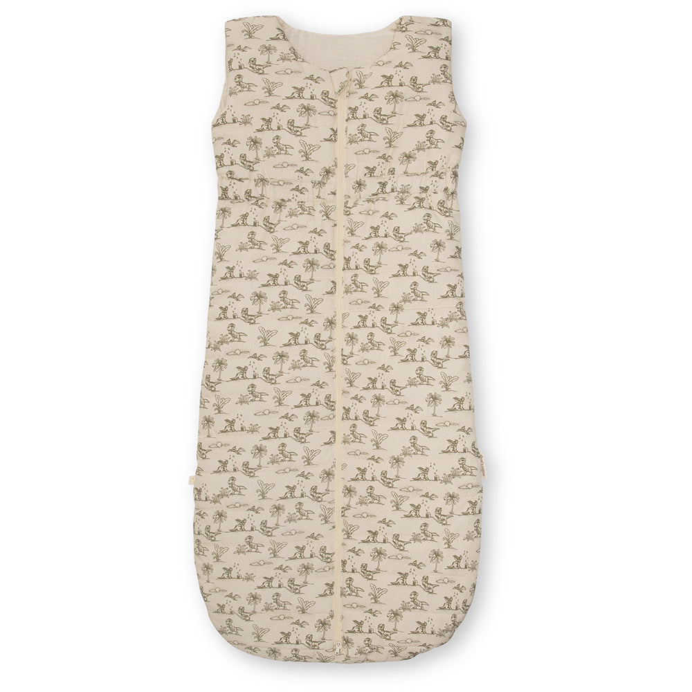 Schlafsack Agnes 0-6 Monate Dino