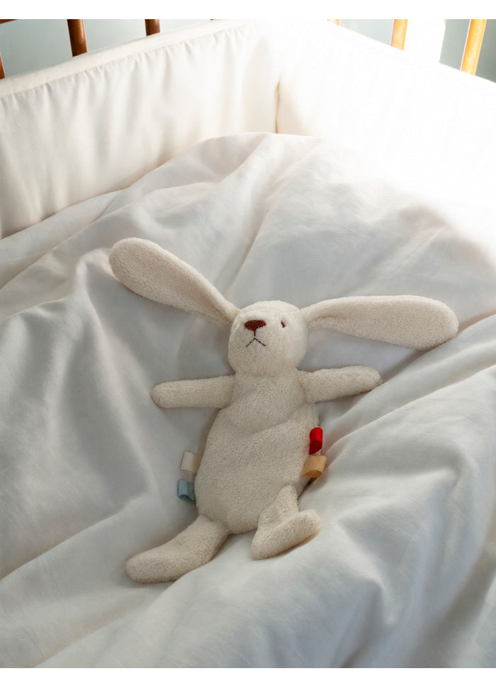 Aspen heavy teddy mini Bunny