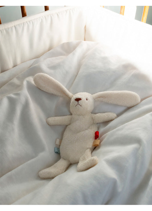 Aspen heavy teddy mini Bunny