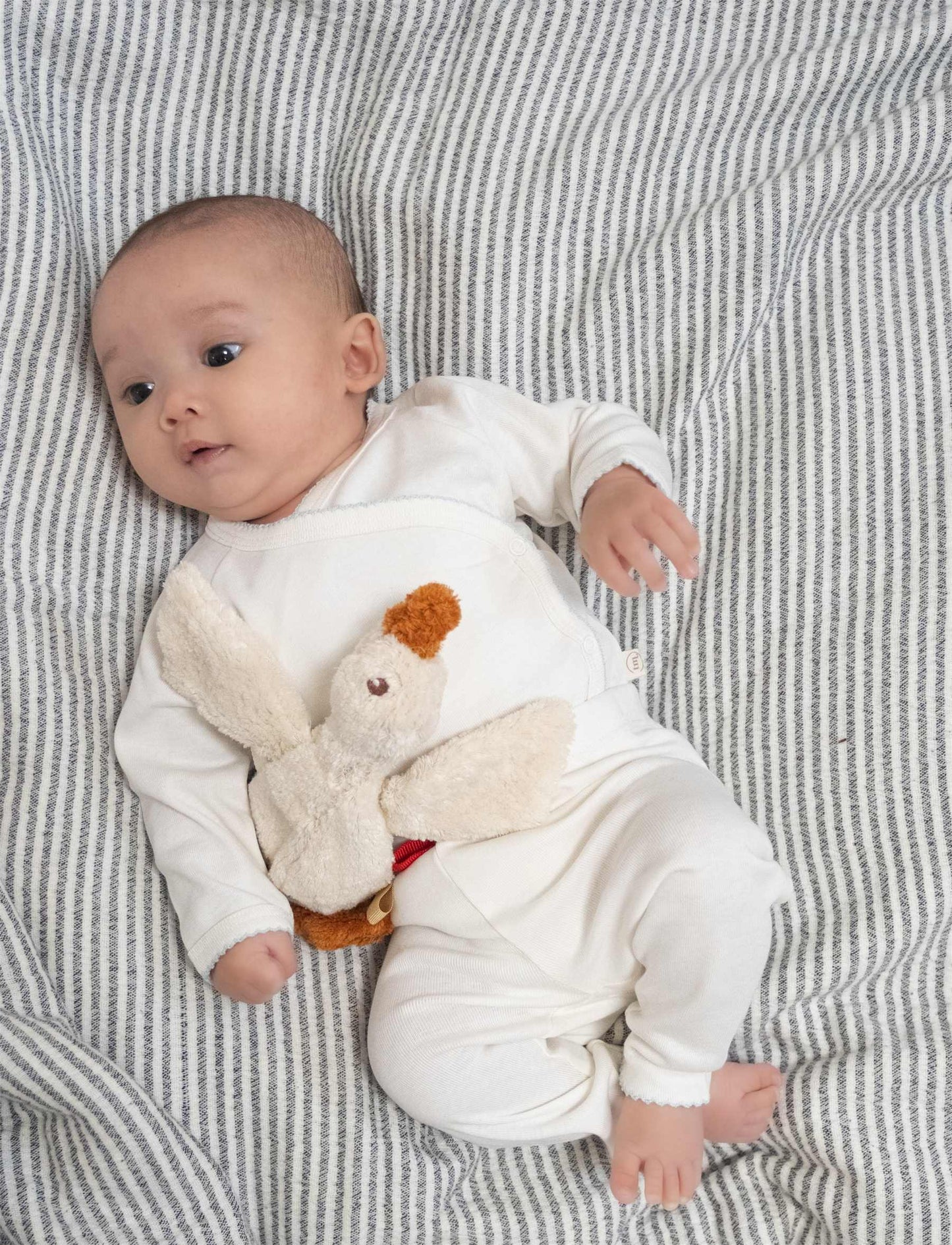 Aspen heavy teddy mini Ente