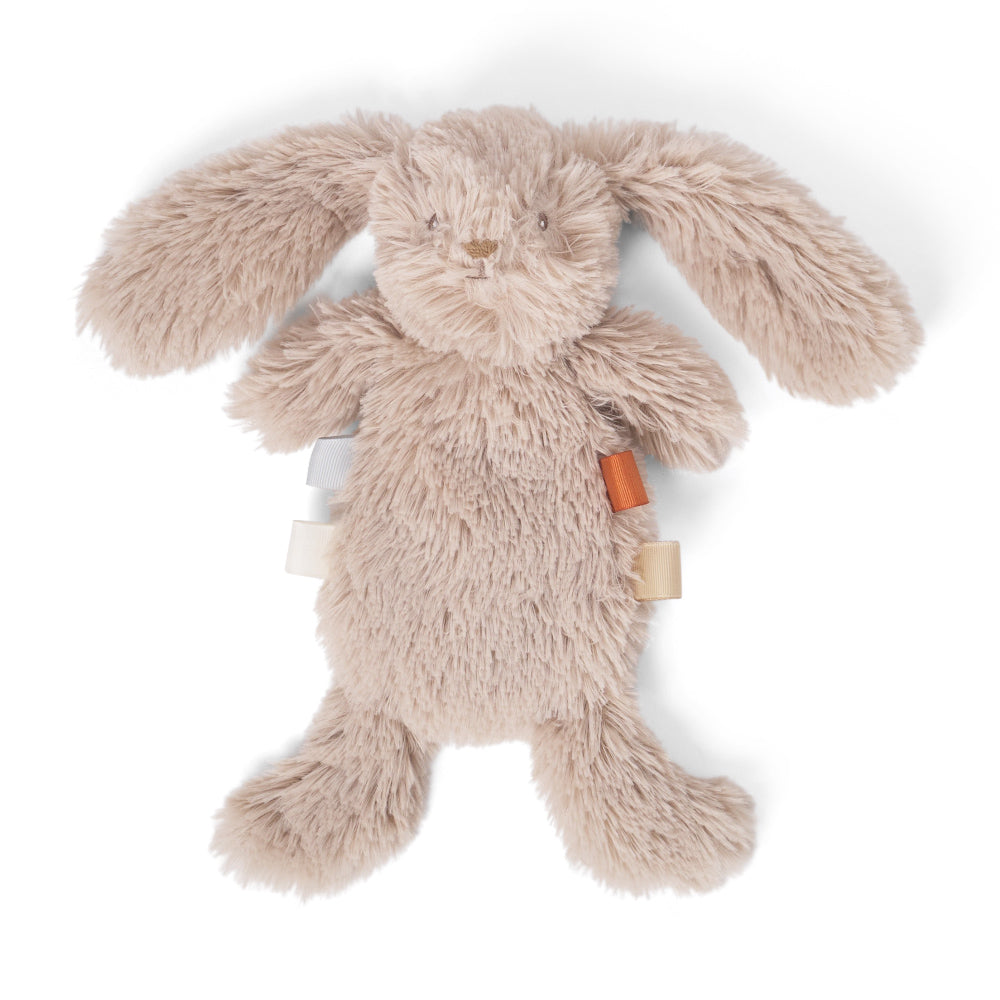 Houston heavy teddy mini Bunny