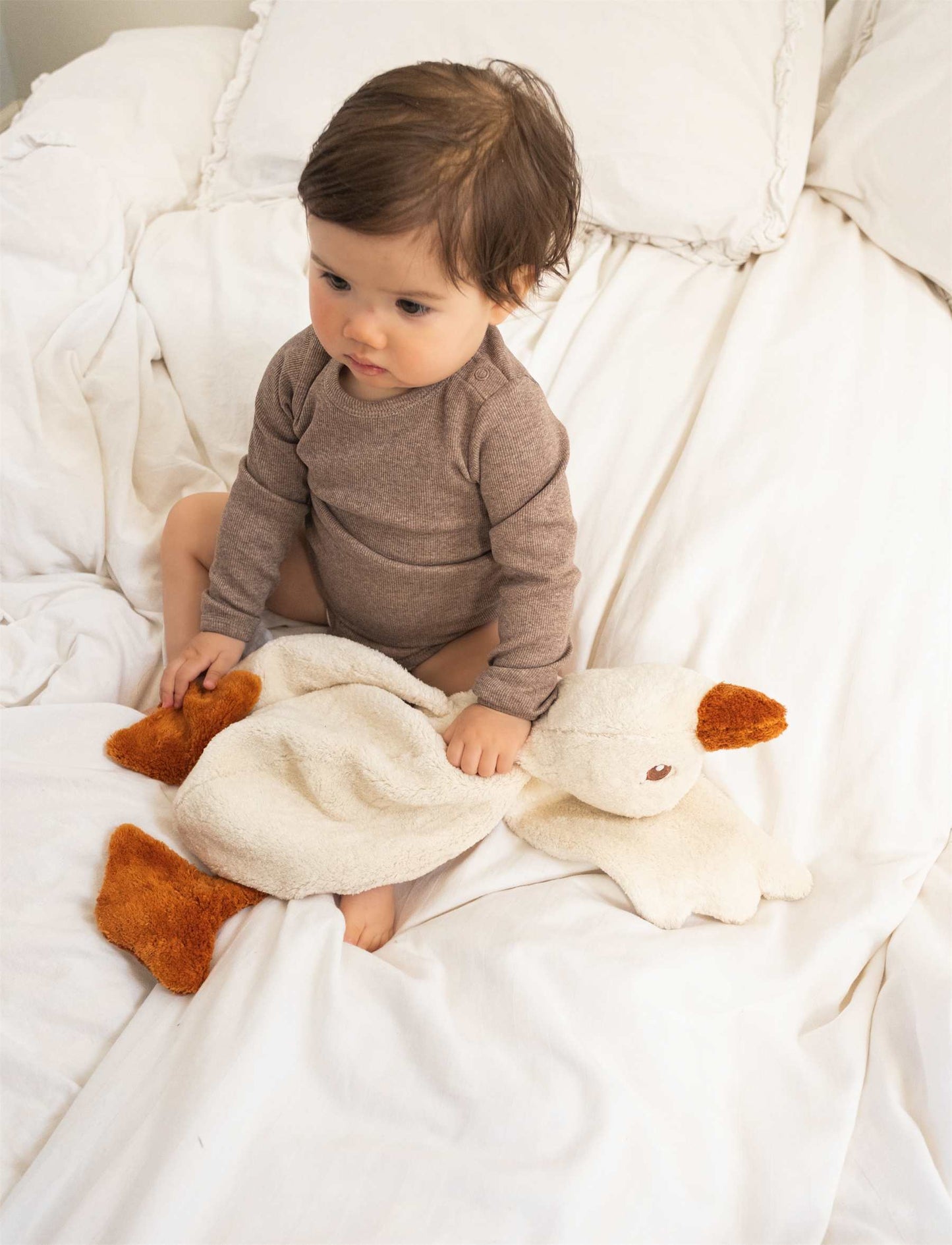 Aspen heavy teddy small Ente